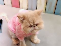 -小时光咖啡馆(开森度假森林店)