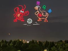 -南京眼步行桥
