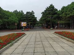 -长春市南湖公园