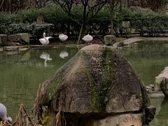 -贵州森林野生动物园