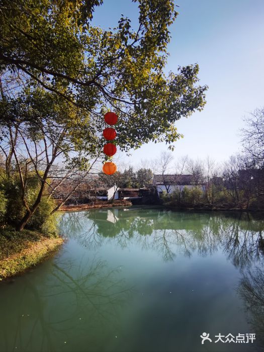 西溪国家湿地公园图片