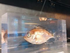 -drivepro(新天地北里店)