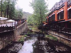-Local泰莲庭(虹鳟鱼店)