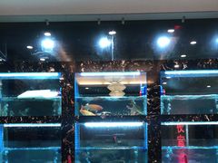 水产区-浔味·山屿湖·正宗全鱼宴老字号