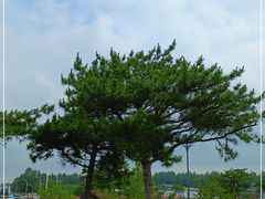 -莫子山公园