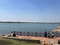 -丁香湖公园