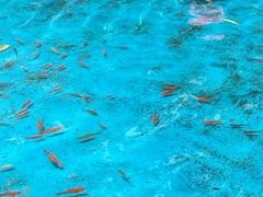 -郑州方特水上乐园