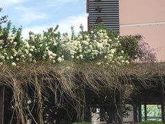 -浦江城市生活广场(江月路店)