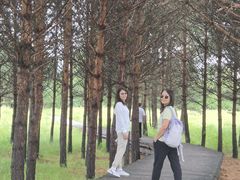 -北极村旅游风景区