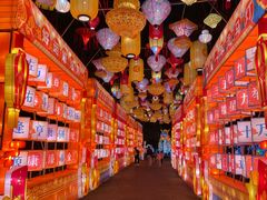 -欢乐海岸椰林沙滩-2025湾区超级灯会