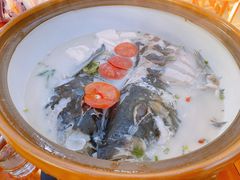 -全乐鱼馆·淳牌有机鱼直营店