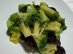 -鹿园 MOOSE(长宁店)