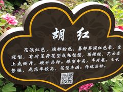 -洛阳市隋唐城遗址植物园