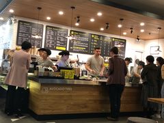 -油梨树 AVOCADO TREE(亮马桥店)