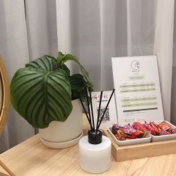 -盼兮·日式美睫沙龙