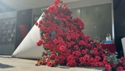 -上海玫瑰医疗美容医院