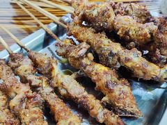 -民族烤羊·烤羊肉串·烤羊排(南城店)
