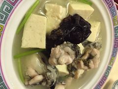 蓬莱春-蓬莱春(芝罘店)