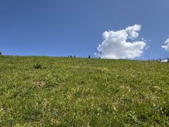 -小渠子旅游区
