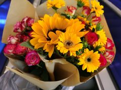 -稻前Taoki(方圆荟店)