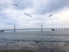 -星海广场