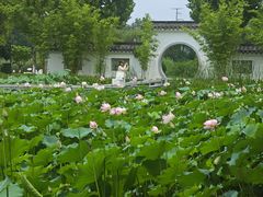 -金银湖国家城市湿地公园