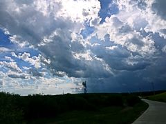 -塞罕坝国家级自然保护区