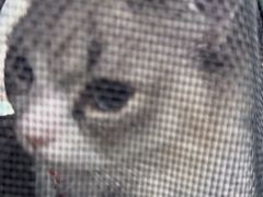 -佳雯宠物医院·皮肤科·内外科(春晓路分院)