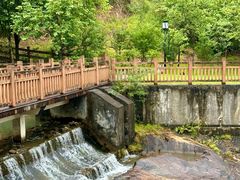 -广州白江湖森林公园