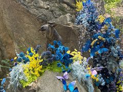 -秦岭终南山世界地质公园翠华山景区