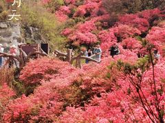 -木兰云雾山