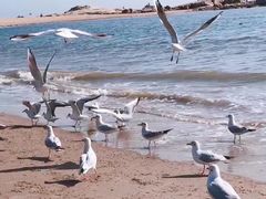 -老虎石海上公园