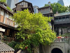 -重庆十八梯传统风貌区