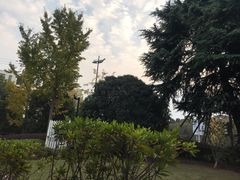 -星巴克臻选(杭州良渚文化村店)