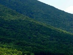 android_upload_pic-松花湖风景名胜区