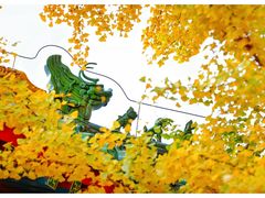 -香山公园