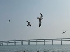 -黑石礁公园