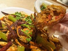 香辣蟹-杨氏青龙虾·羊蝎子(珠江路店)