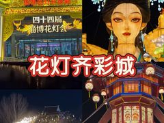 -淄博花灯齐彩城
