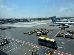 -乌鲁木齐天山国际机场-T3航站楼