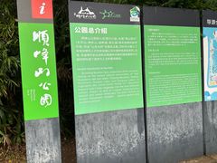 -顺峰山公园