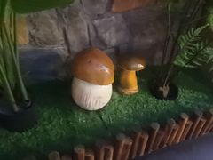 -菌彩云南野生菌火锅(呈贡七彩云南第壹城店)