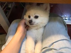 -零几体验diy皮具工作室(振业城店)