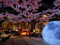 -蓝鲸湾汤泉(包河店)