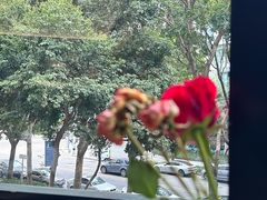 -LOTTA COFFEE(安居博文苑店)