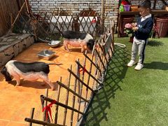 -HERRE·FARM 赫尔露营农场·团建聚会包场