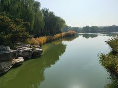 -燕郊植物园