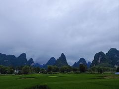 -明仕田园