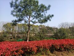 -院士公园