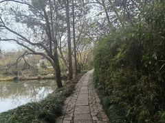 -西溪国家湿地公园